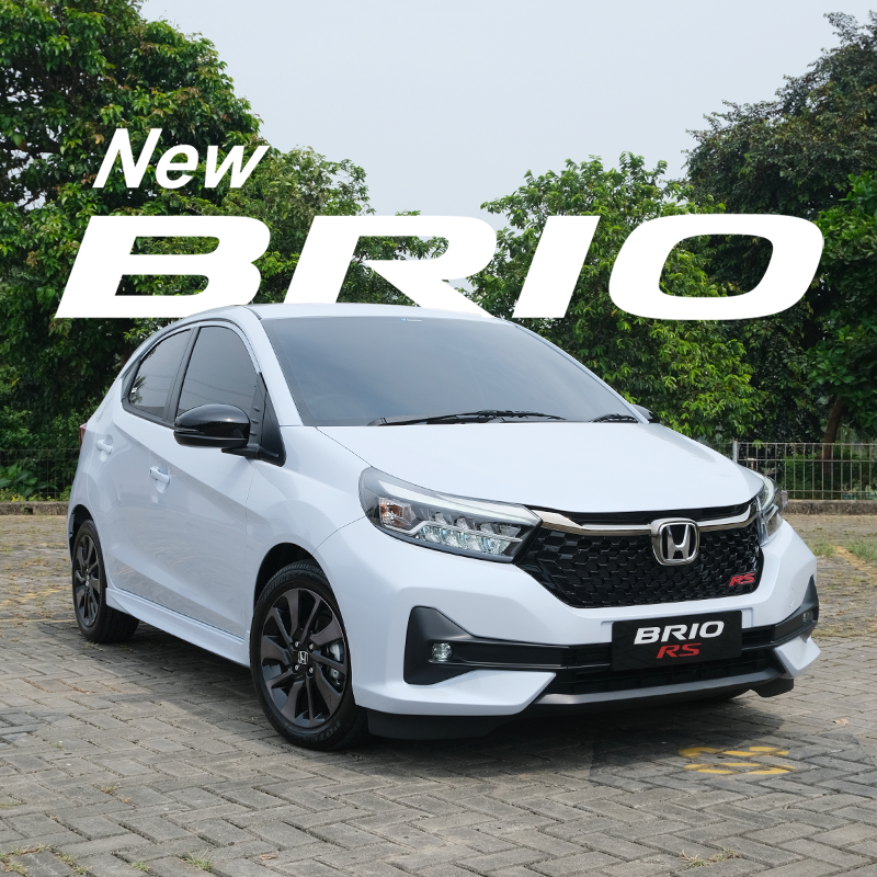 BRIO-NEW-MODEL13